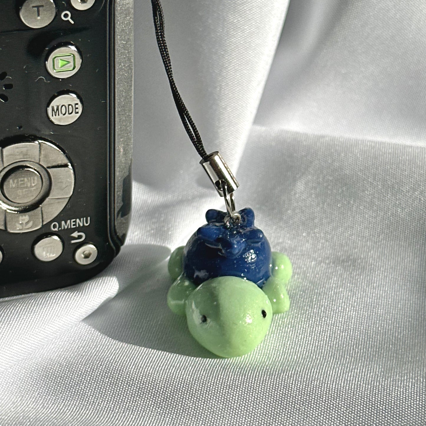 Blueberry Turtle
