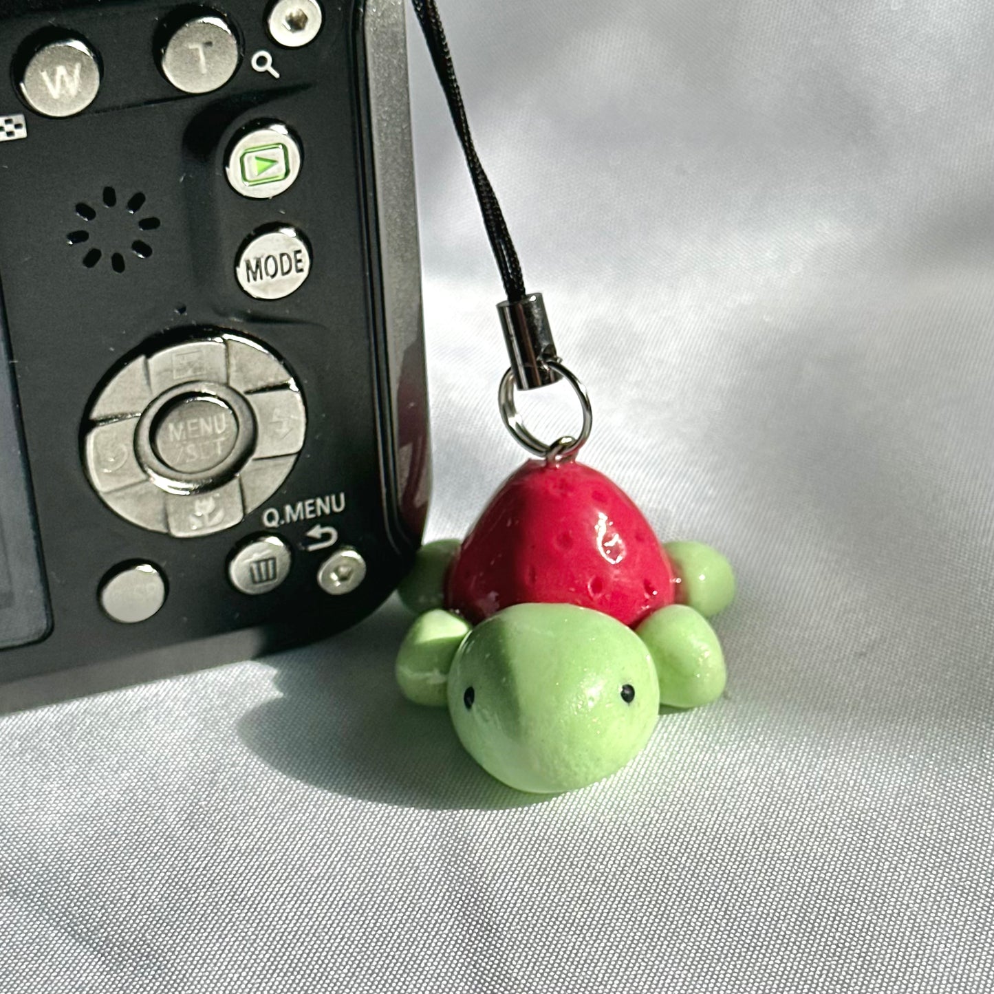 Strawberry Turtle