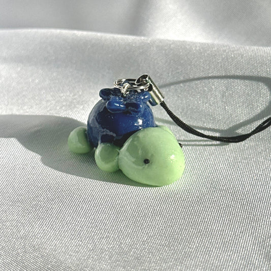 Blueberry Turtle